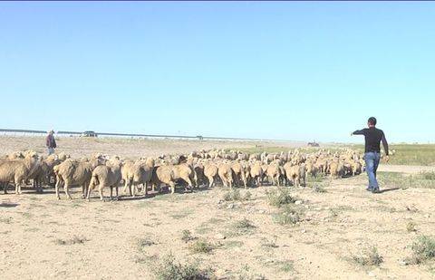 Фото informburo.kz