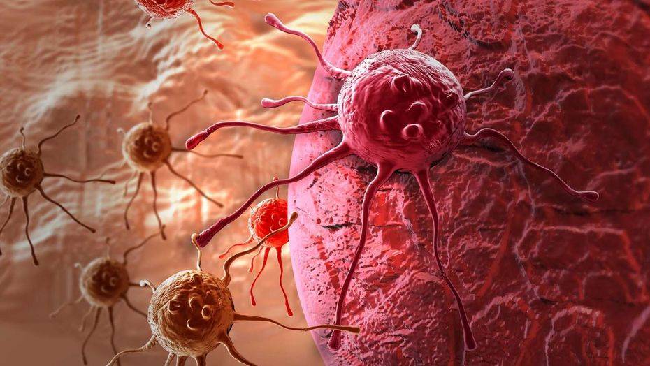 Сурет naked-science.ru сайтынан алынған