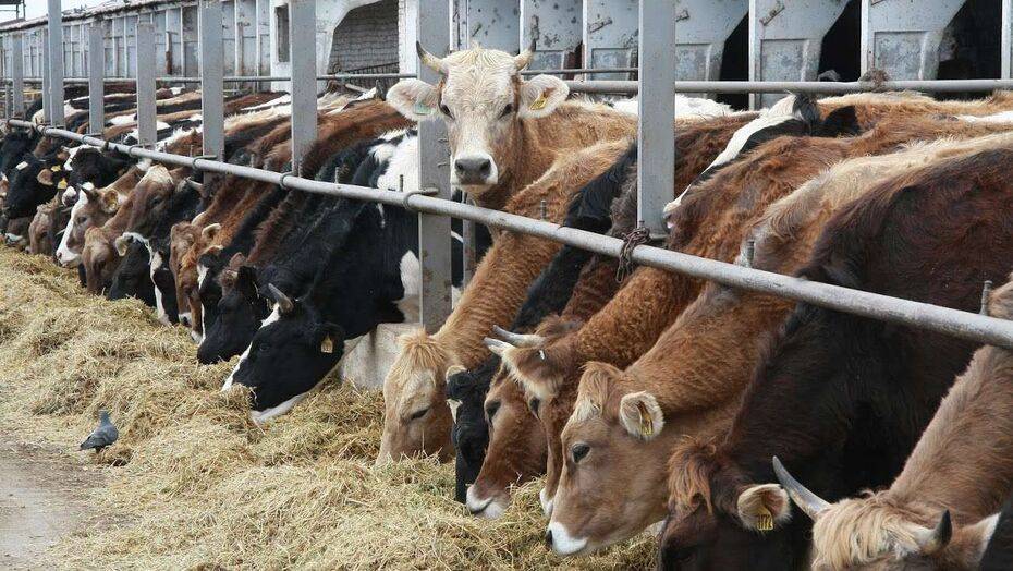 Фото Informburo.kz