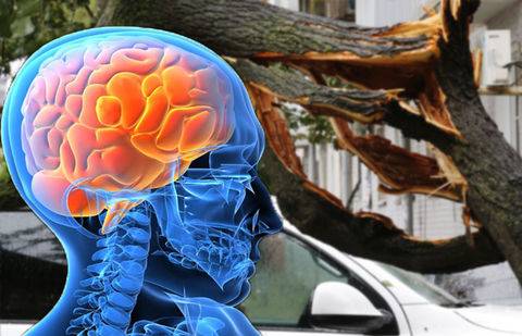 Иллюстрация informburo.kz