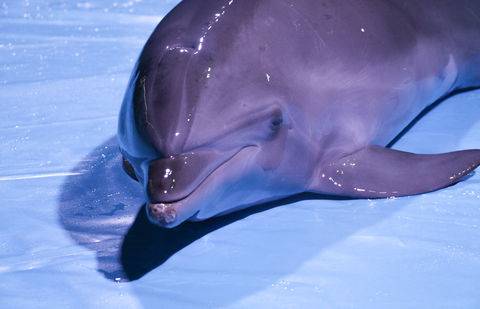 Фото Никиты Спивака