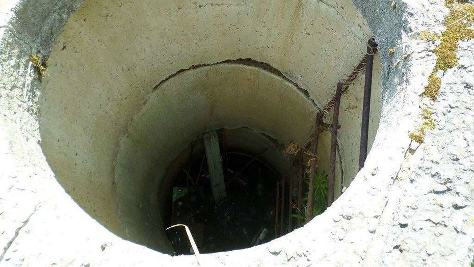 Фото с сайта progorod62.ru