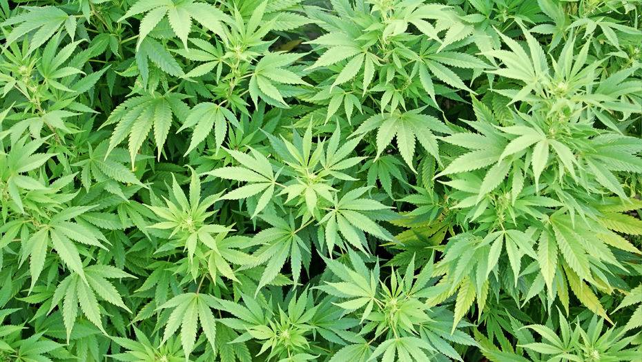 Фото с сайта kievpravda.com