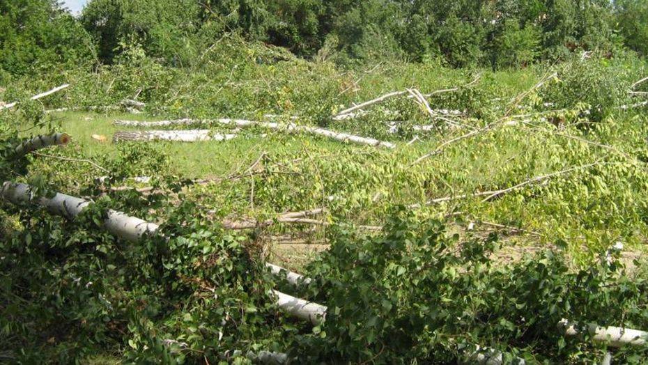 Фото informburo.kz