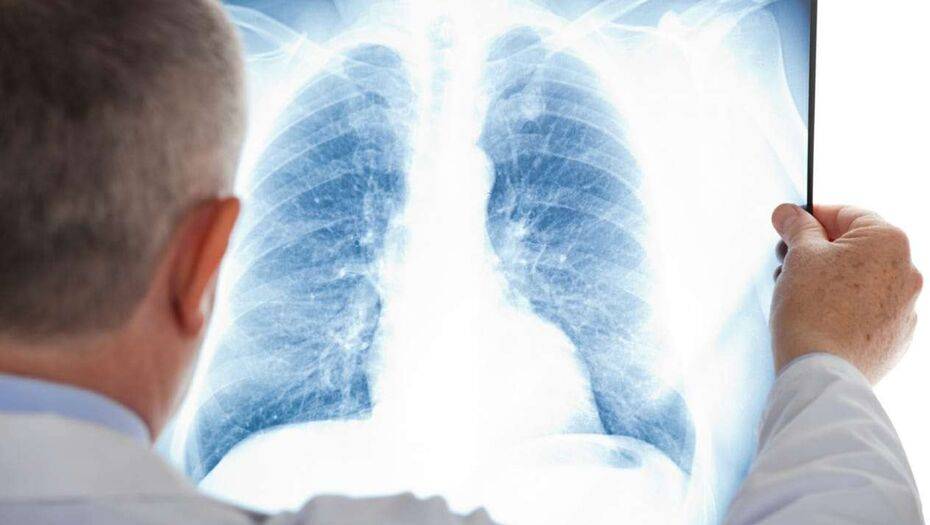 Фото предоставлено Региональной службой коммуникаций Туркестанской области