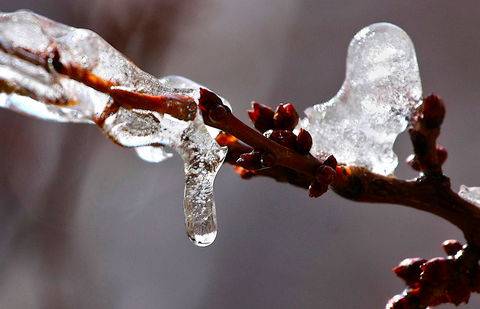 Фото Олега Спивака
