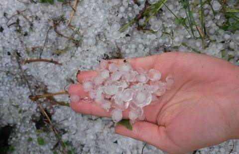 Фото с сайта pg21.ru