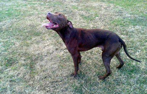 Фото Uzia Baktybai / vk.com