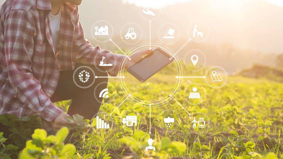 Фото с сайта shutterstock.com