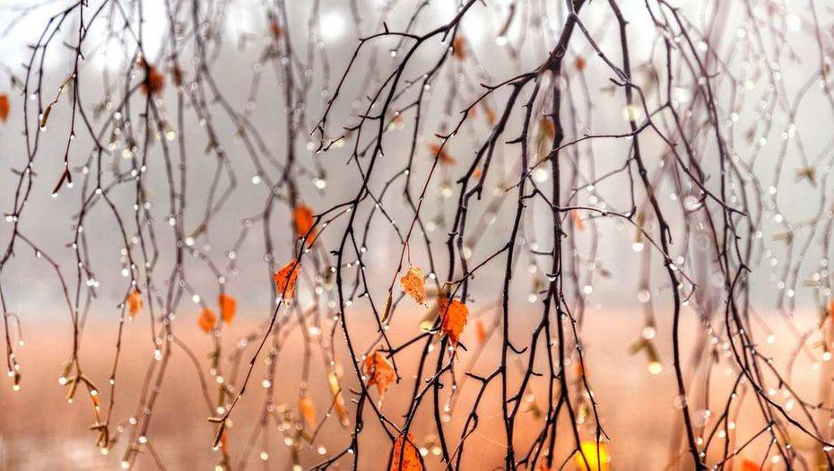 Фото с сайта yandex.kz