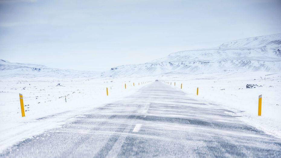 Фото с сайта shutterstock.com