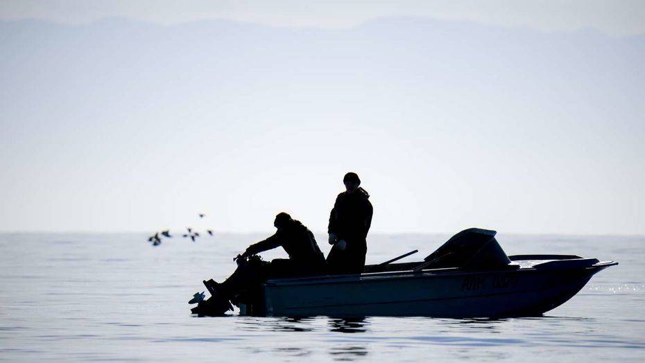 Фото Григория Беденко