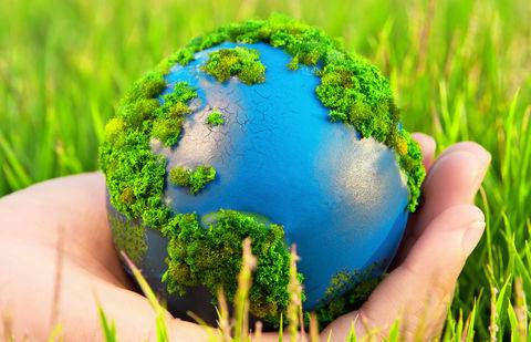 Фото с сайта timolod.ru