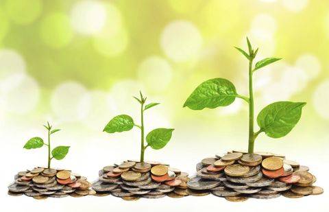 Фото с сайта directnews.co.uk