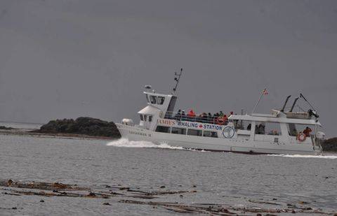 Фото с сайта globalnews.ca