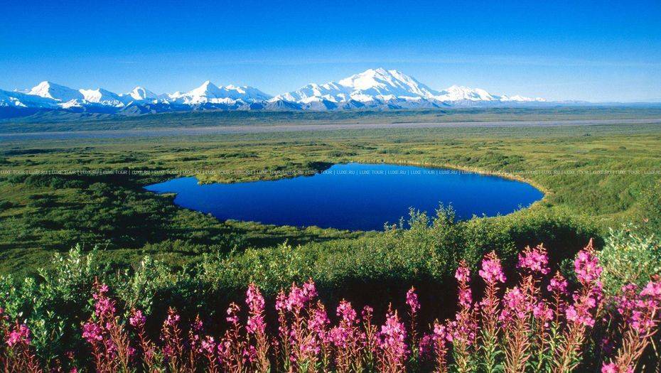 Фото с сайта CC BY 2.0 / Frank Kovalchek 