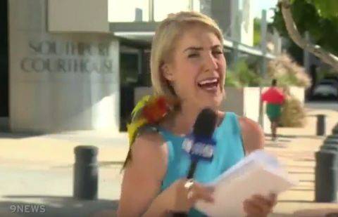 Фрагмент видео