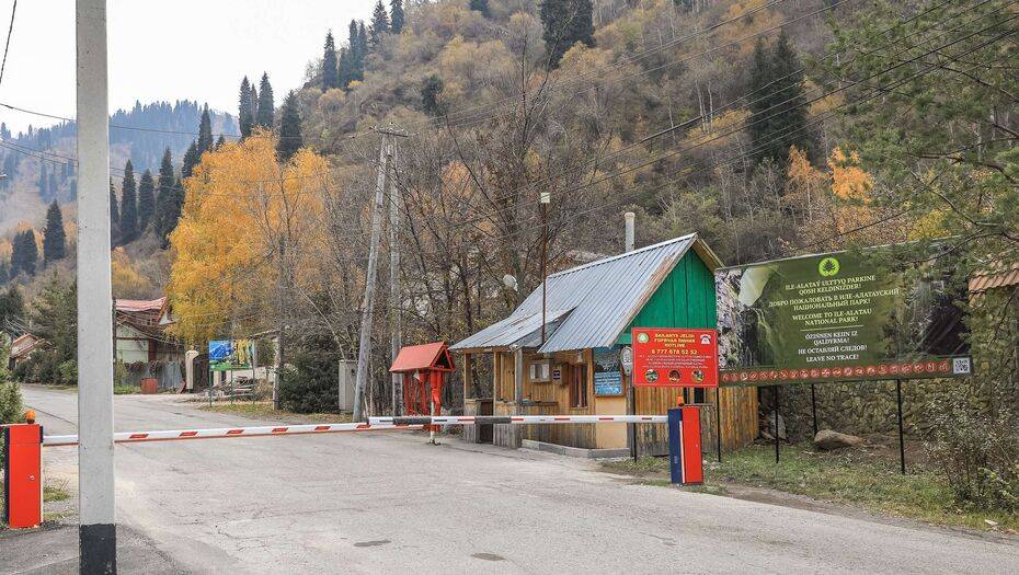 Фото Алмаза Толеке