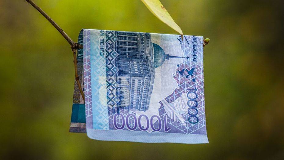 Нацбанк намерен просить у Правительства финансовой поддержки для банковского сектора