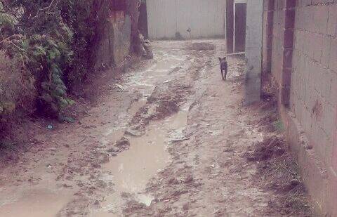 Фото informburo.kz