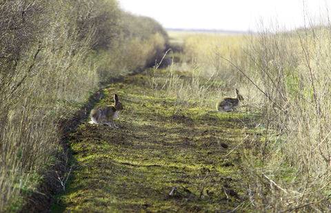 Фото informburo.kz 