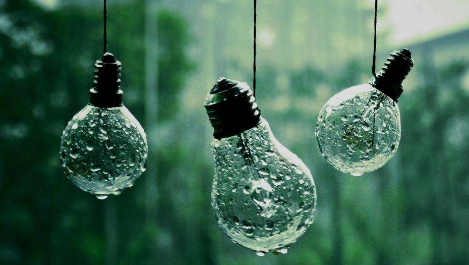 Фото Marcy Martin