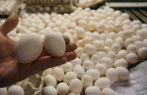 Фото с сайта palata.kz