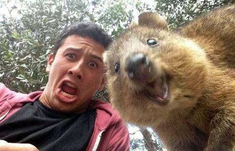 Фото с сайта photomonde.fr