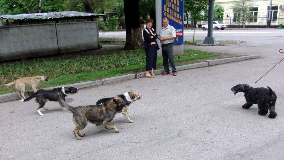 Фото Андрея Михайлова