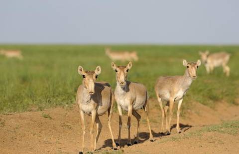 Фото с сайта lost-computer.com