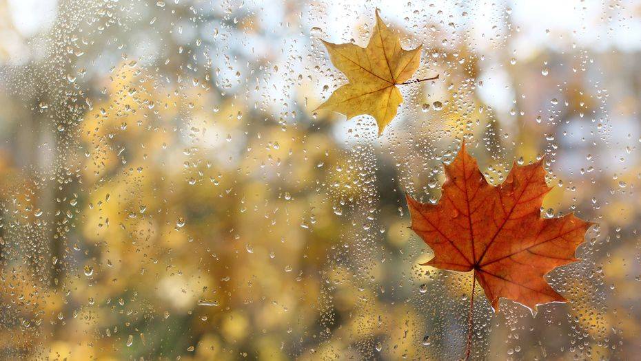 Фото с сайта shutterstock.com