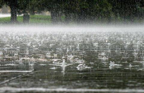 Фото с сайта biss.kz