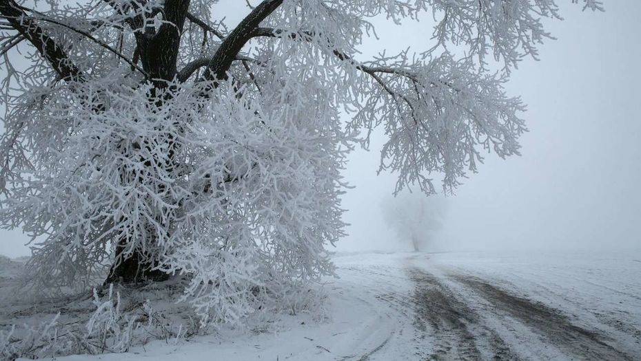 Фото с сайта ivbg.ru