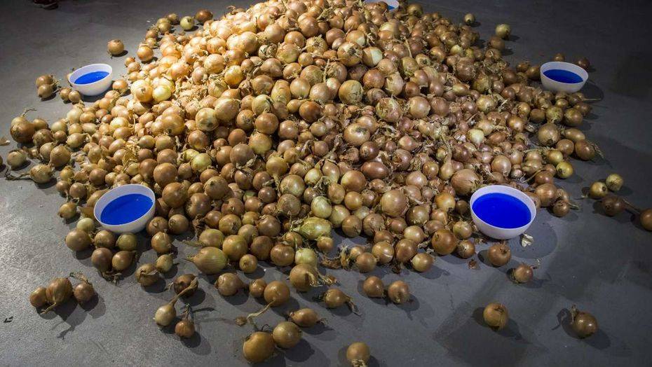 Фото informburo.kz