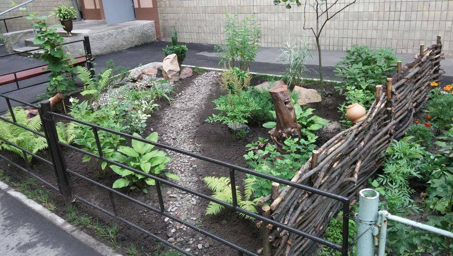 Фото с сайта segodnya.ua