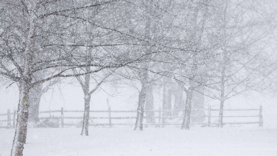 Фото с сайта shutterstock.com