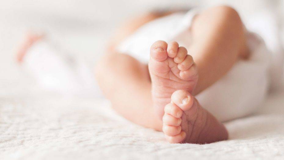 Фото с сайта shutterstock.com