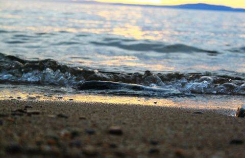 Фото Ратмира Антонова