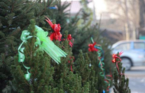 Фото Никиты Спивака