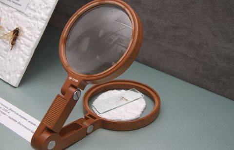 Фото с сайта yk-news.kz