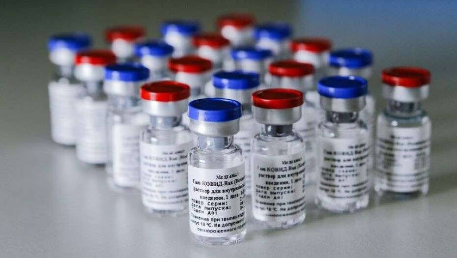 Фото с сайта sputnikvaccine
