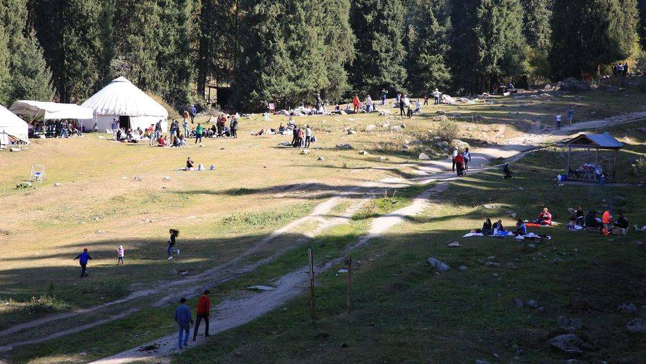 Фото экологического общества "Зелёное спасение"