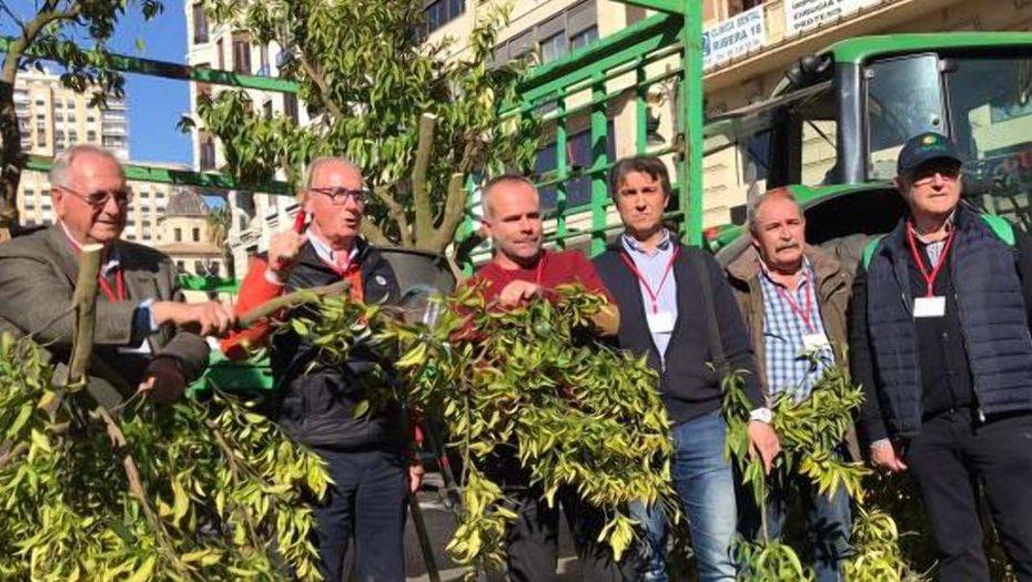 Фото с сайта levante-emv.com