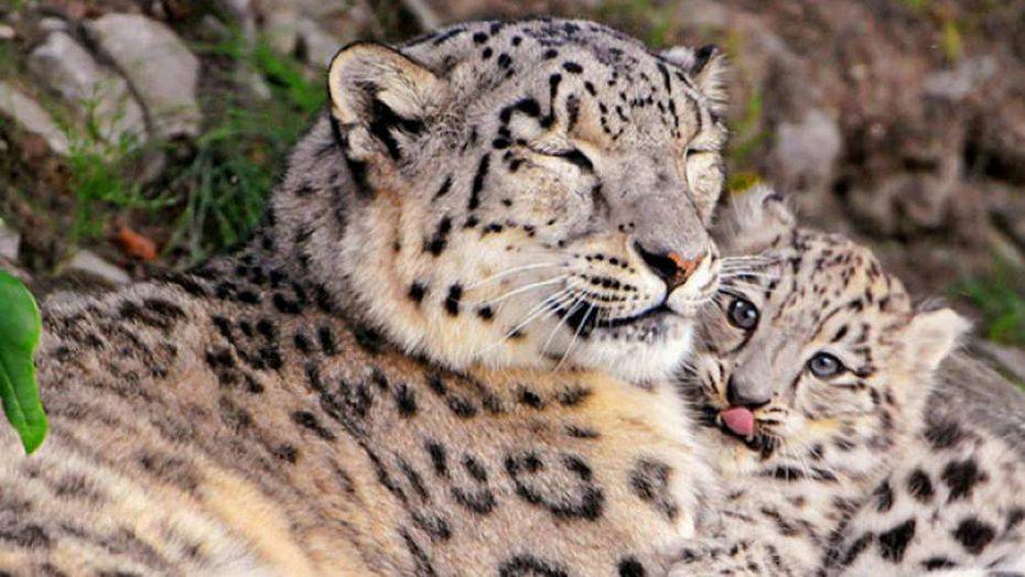 Фото http://kaktus.media/