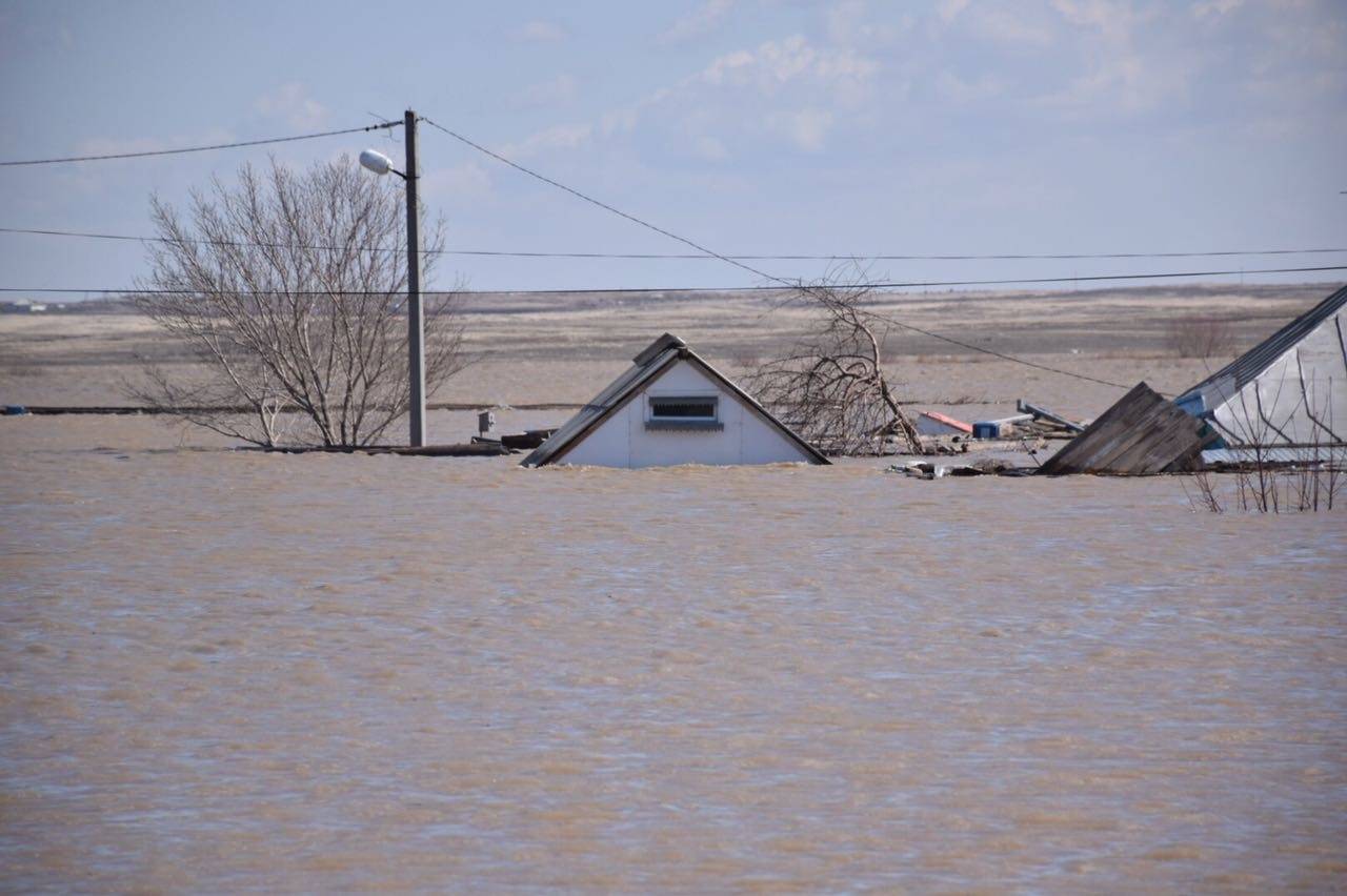 В некоторых посёлках области вода достигла практически достигла крыш