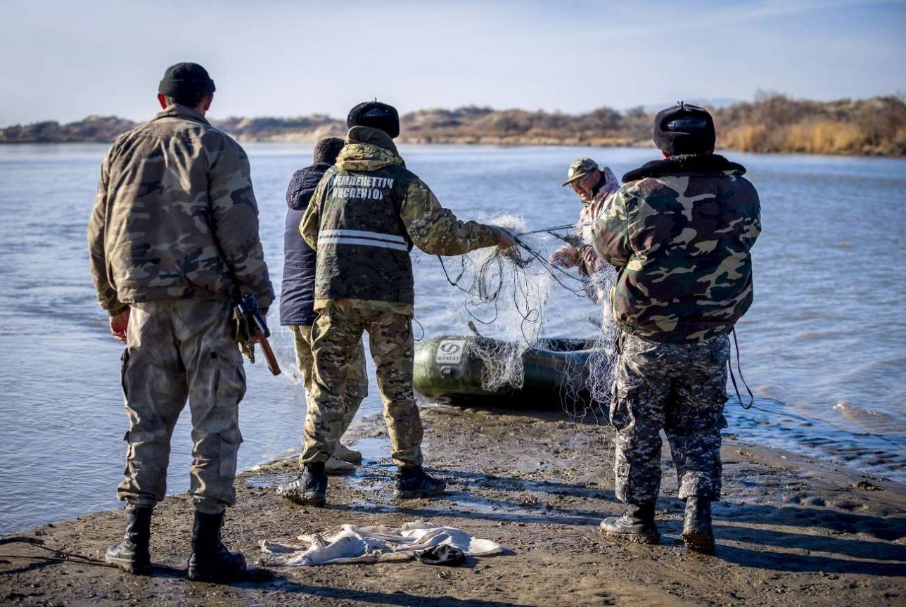 Инспекторы извлекают незаконные орудия лова из воды