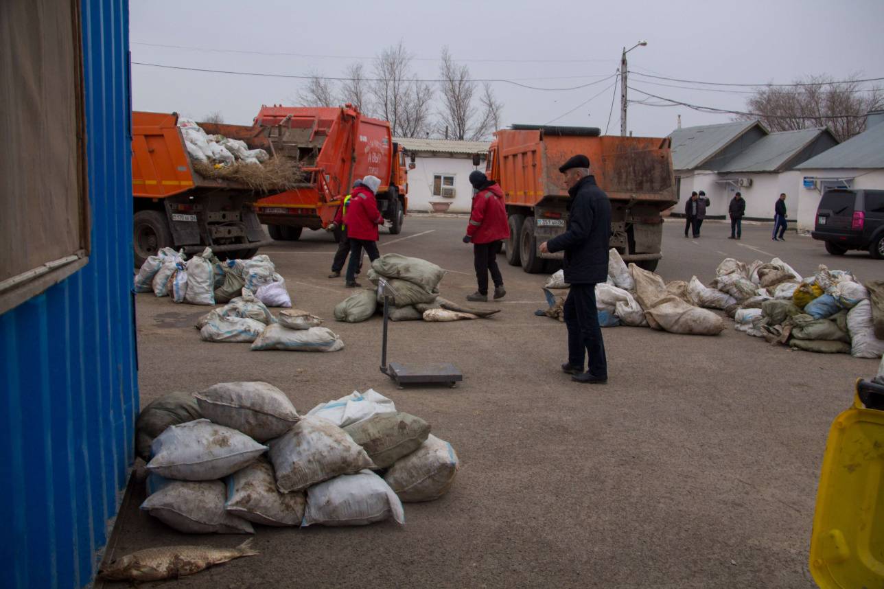 Место сбора и контрольного взвешивания собранной мертвой рыбы