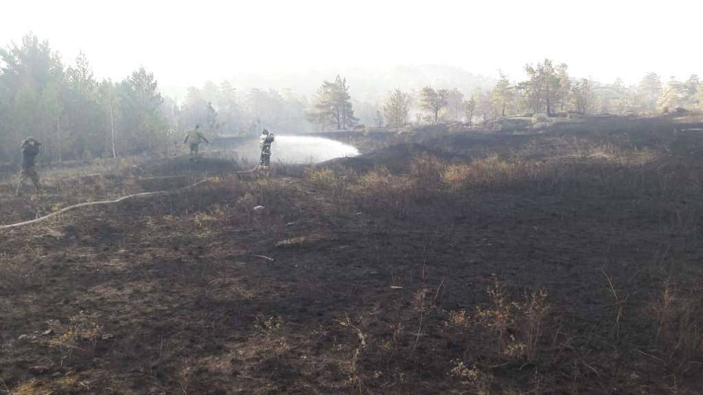 В огне пострадало 93 га леса