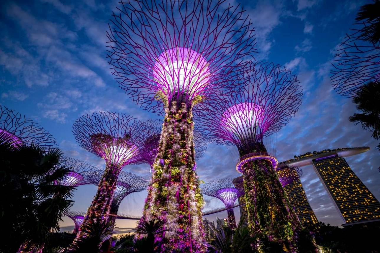 Каждый вечер на Gardens by the Bay проводится светомузыкальное шоу