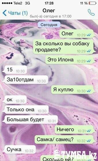 Переписка школьников в WhatsApp